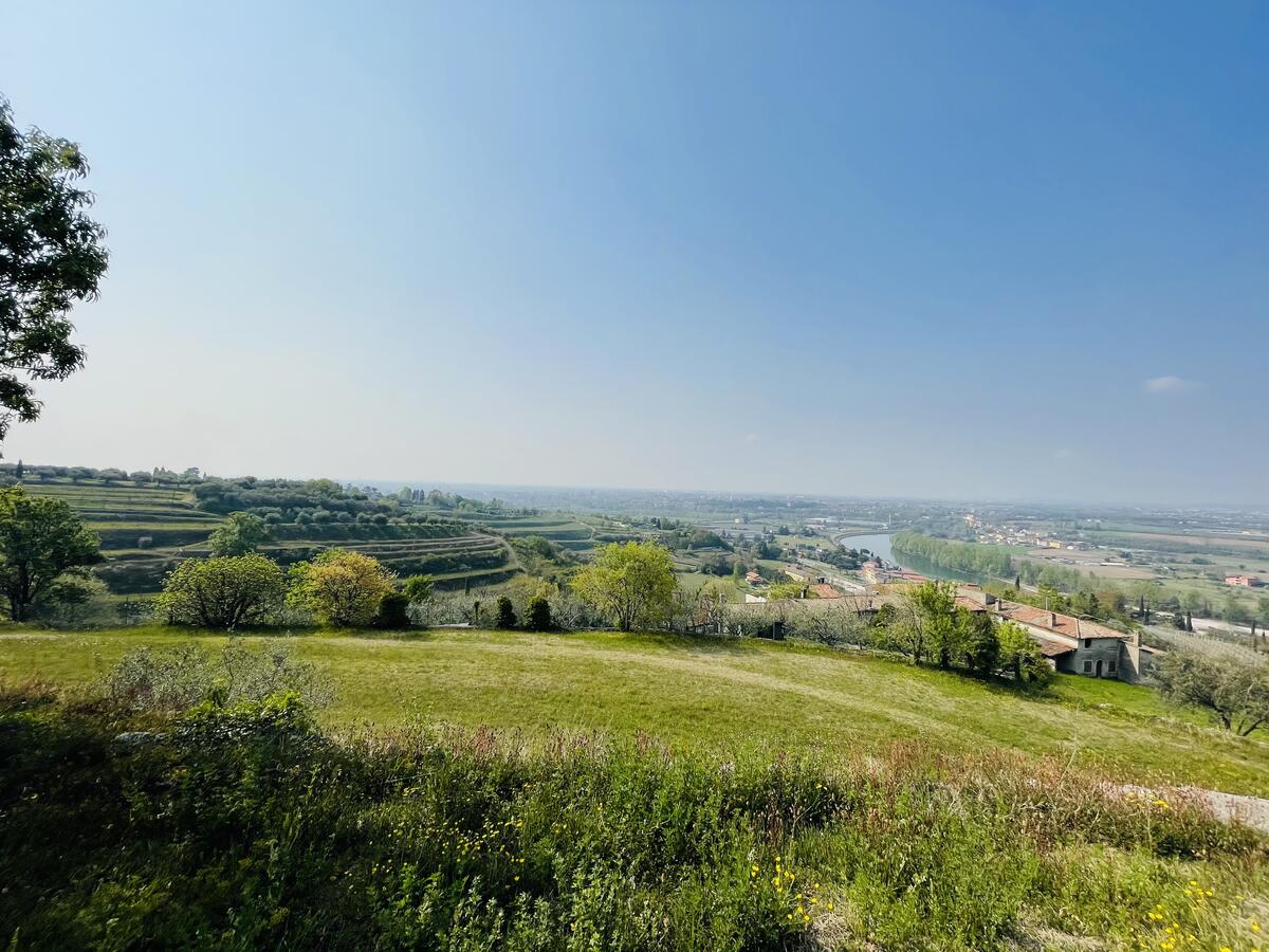 Villa con proprietà estesa per 10 ettari nella posizione più bella di Verona - 8